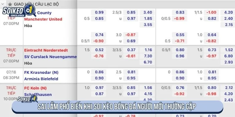 Phân tích dữ liệu trận đấu trước khi đọc tỷ lệ